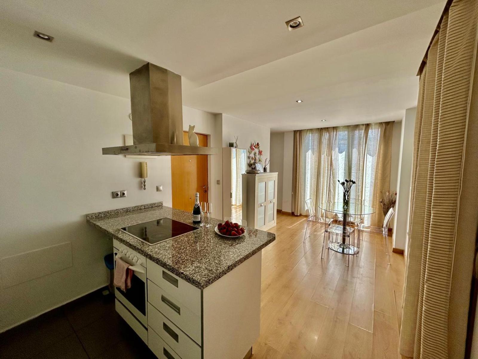 2 Big Terraces Penthouse City Center Alicante Exterior photo